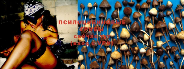 a pvp Сафоново