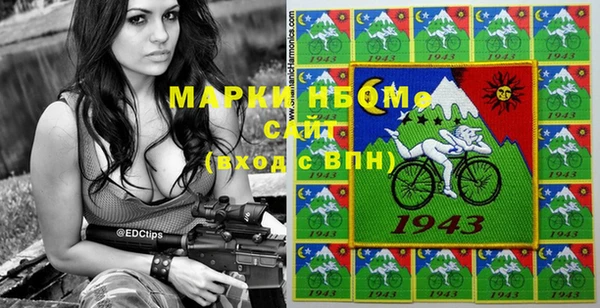 метадон Алексин