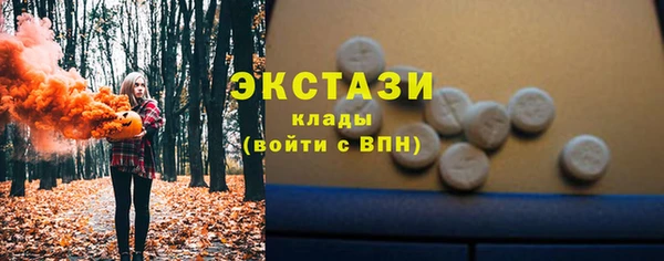 ECSTASY Алзамай