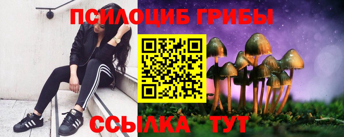 Лесосибирск  Псилоцибиновые грибы мицелий  Вход с VPN  где купить наркоту  Галлюциногенные грибы Cubensis 