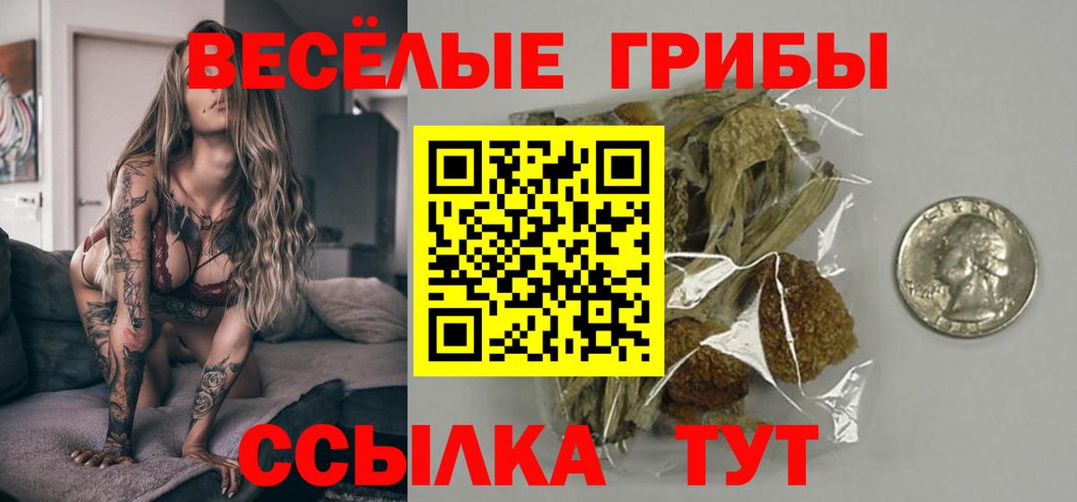 Галлюциногенные грибы мухоморы Лесосибирск